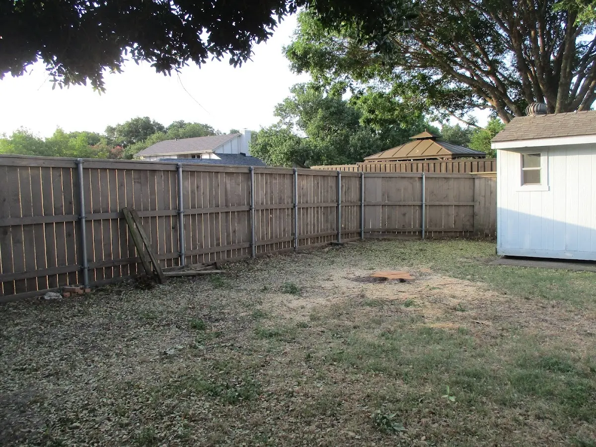 Cleared yard after professional tree removal in Big Creek